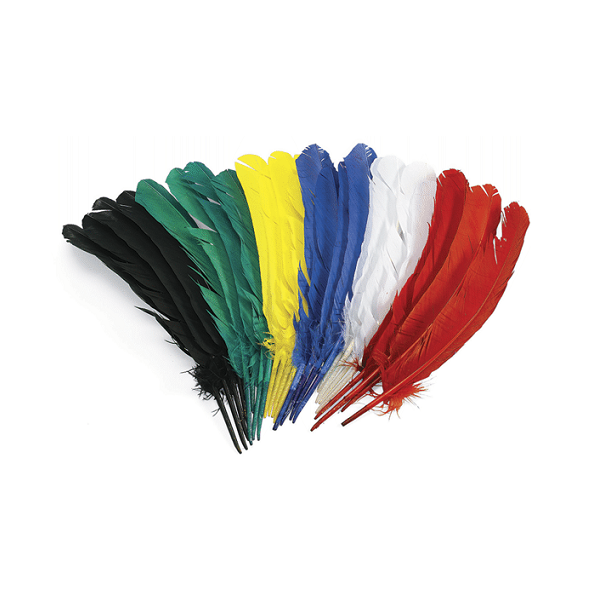 Plumas indio 30 cm. Set 24