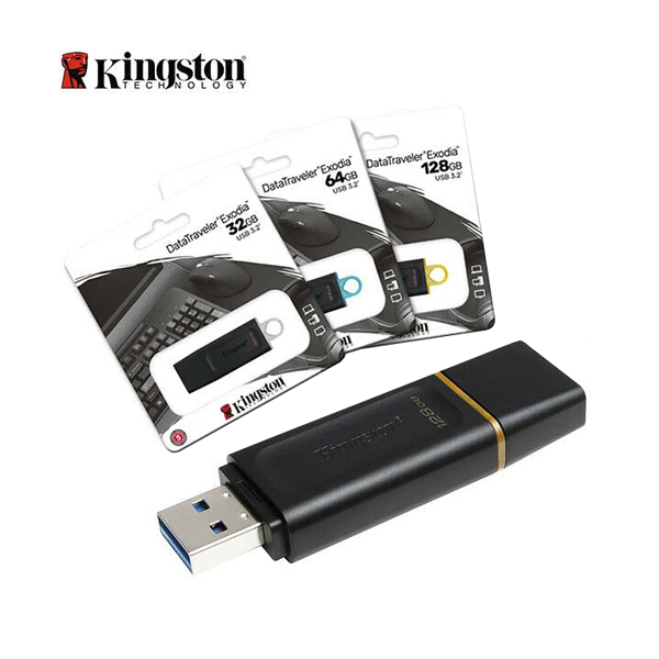 Memoria USB datatraveler Kingston