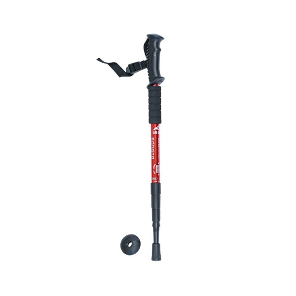 Bastón Trekking BBD 1
