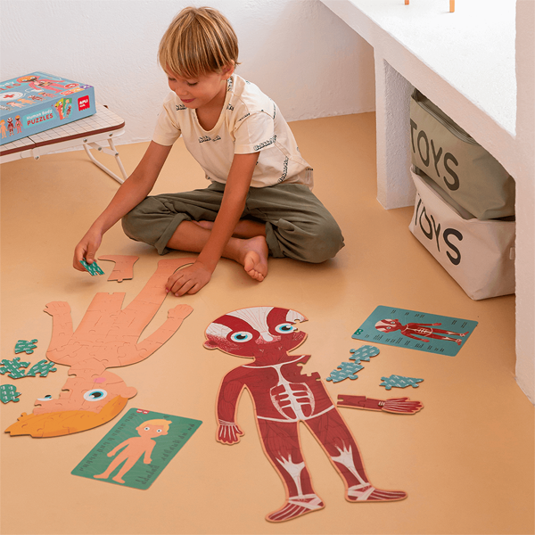 Puzzle el cuerpo humano
