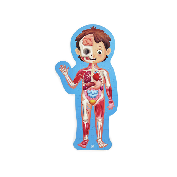 Puzzle gigante el cuerpo humano